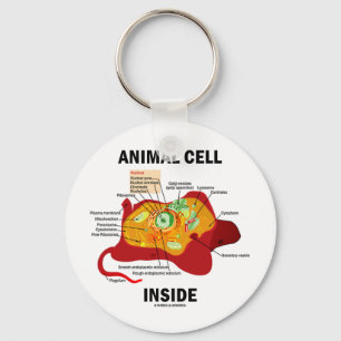 Animal Cell Inside (Eukaryote Cell Biology) Keychain