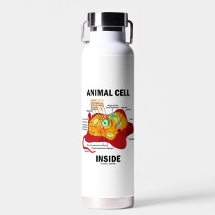 Animal Cell Inside Eukaryote Diagram Water Bottle
