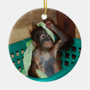 Animal Charity Donations Ceramic Ornament