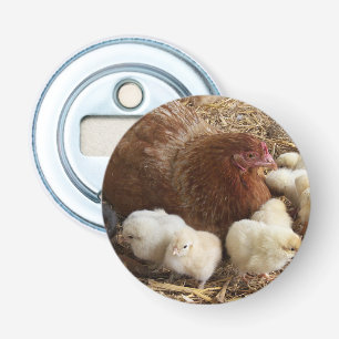 animal, chick, chicken, farm, cute, bird, baby, bottle opener