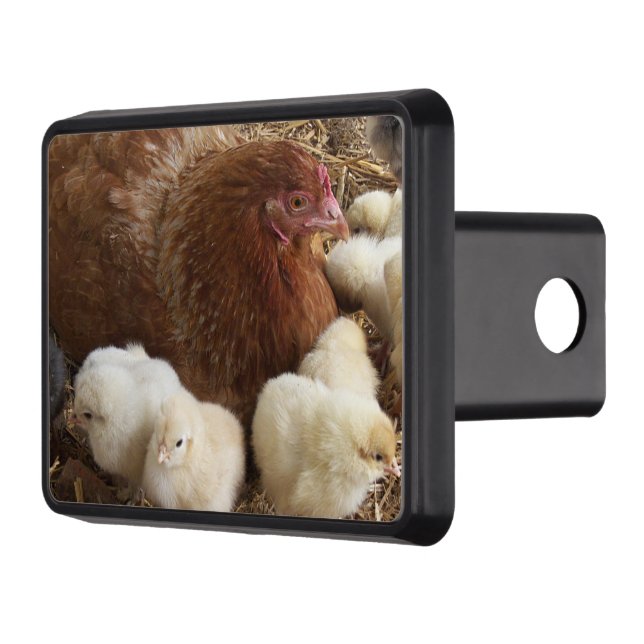 animal, chick, chicken, farm, cute, bird, baby, trailer hitch cover (Left)