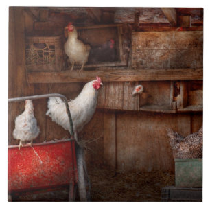 Animal - Chicken - The duck is a spy Tile