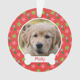 Animal Chien mignon Red Stars Holiday Chiot Photo