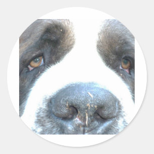 Animal Classic Round Sticker