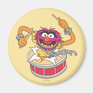 Animal Crashing Through Drums Magnet