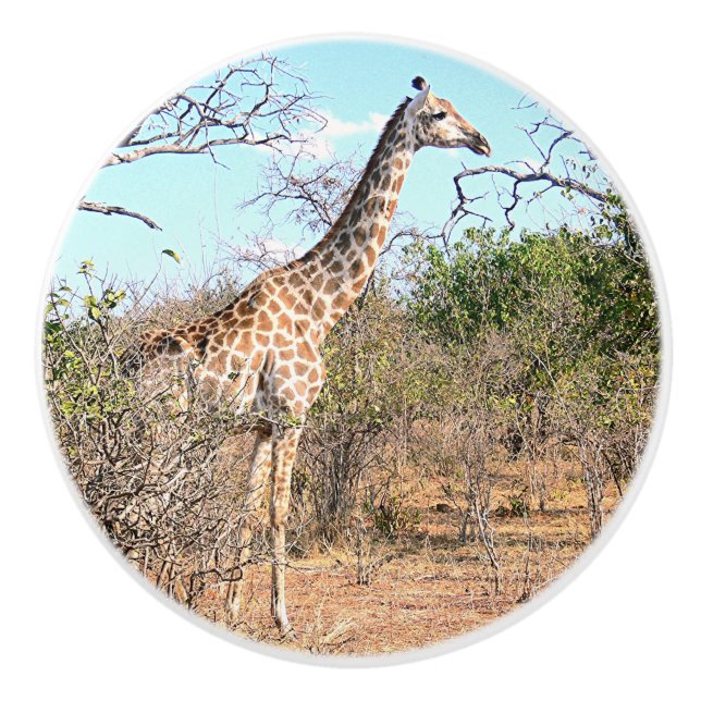 ANIMAL DECOR FOR CHILD'S ROOM/GIRAFFE CERAMIC KNOB (Front)