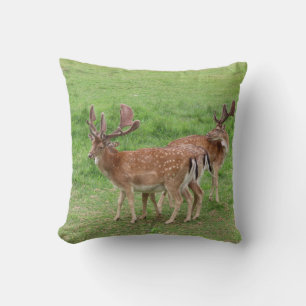 animal, deer, wildlife, forest, meadow, hunting, G Throw Pillow