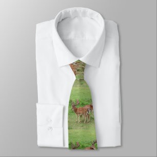 animal, deer, wildlife, forest, meadow, hunting, G Tie