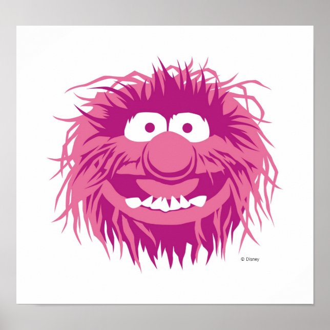 Animal Disney Poster (Front)