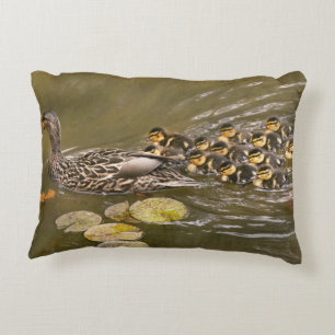 Animal - Ducks - Swim like a duck Accent Pillow