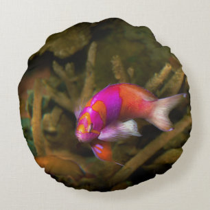 Animal - Fish - Pseudanthias pleurotaenia Round Pillow