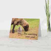 Animal Friends Cancer Concern Card