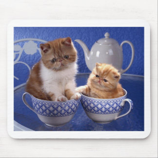 animal friendship mouse pad
