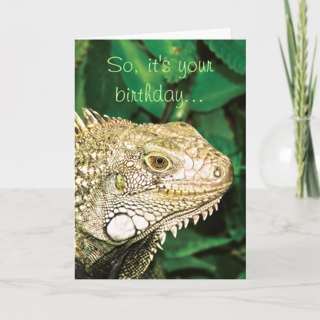 Animal funny birthday humour card (Front)