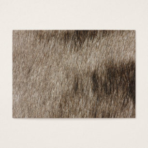 Animal fur texture