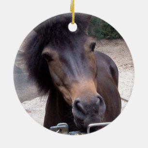 Animal, Horse, Pony Ceramic Ornament