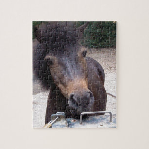 Animal, Horse, Pony Jigsaw Puzzle