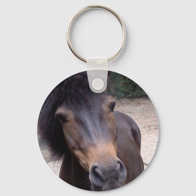 Animal, Horse, Pony Keychain (Front)