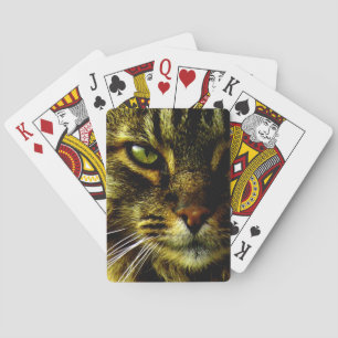 Animal Hypnotizing Cat Eye Photo Playing Cards