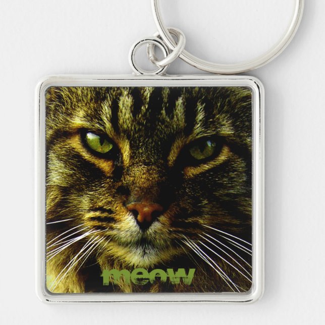 Animal Hypnotizing Cat Eyes Photo Keychain (Front)