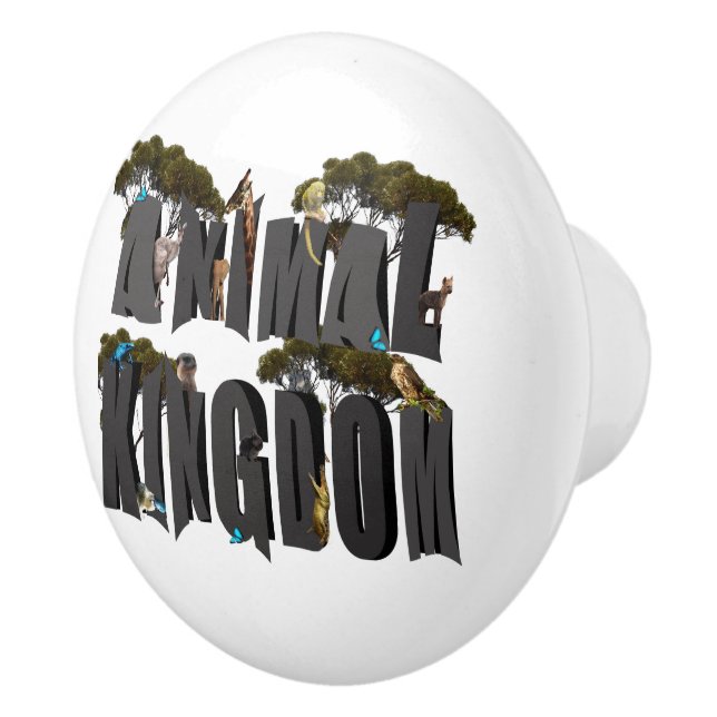 Animal Kingdom Logo, Ceramic Knob (Right)