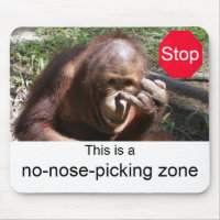 Animal Life Lessons #1