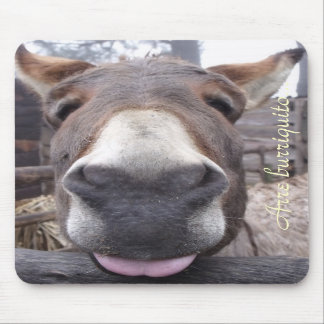 Animal line - burriquito Arre… Mouse Pad