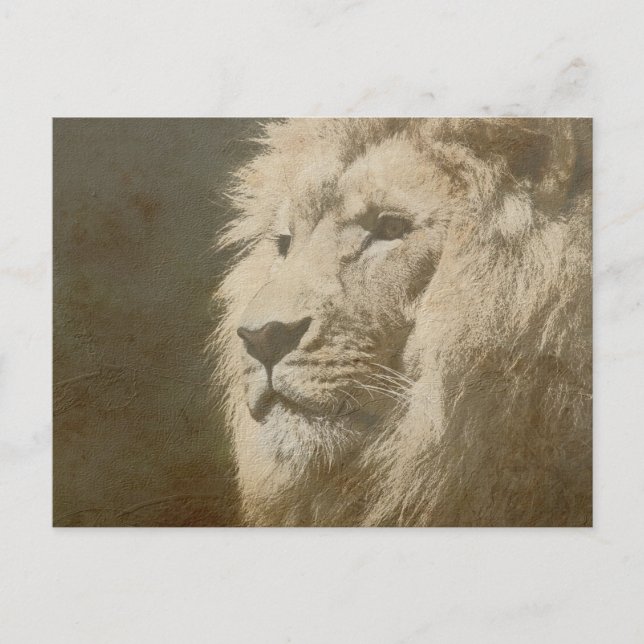 Animal Lion Head The King Modern Pop Art Template Postcard (Front)