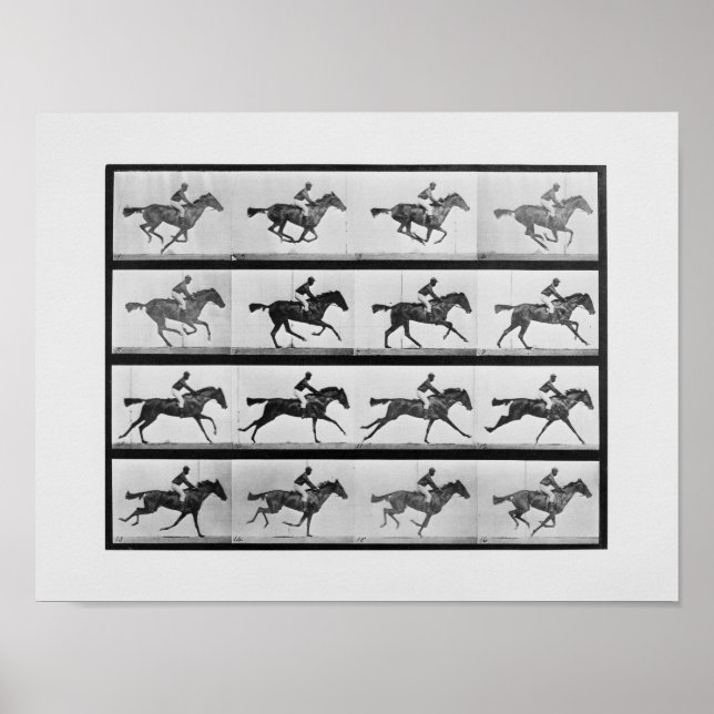 Animal Locomotion - 16 Frames of Racehorse Annie G Poster (Front)
