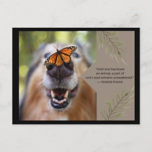 Animal Love -Dog Postcard