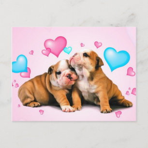 Animal Love Postcard