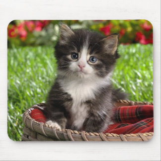 Animal mouse pad 14