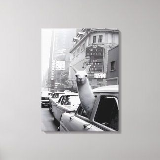 Animal Painting Llama Canvas Wall Art
