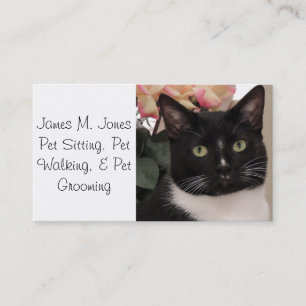 Animal Pet Sitting Business Card