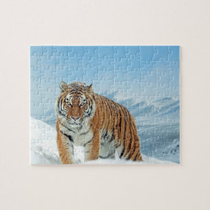 Animal Photo Snow Tiger Mountains Trendy Winter Jigsaw Puzzle