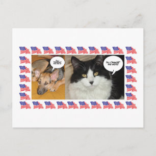 Animal Politics Election 2016 Postcard