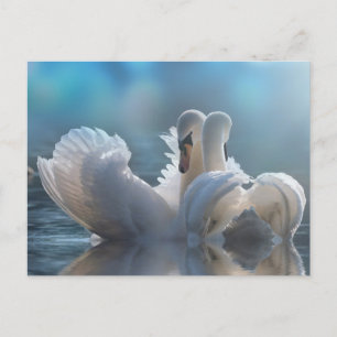 Animal postcard