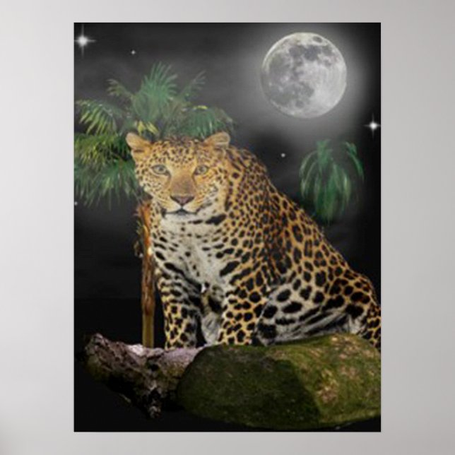 Animal posters (Front)