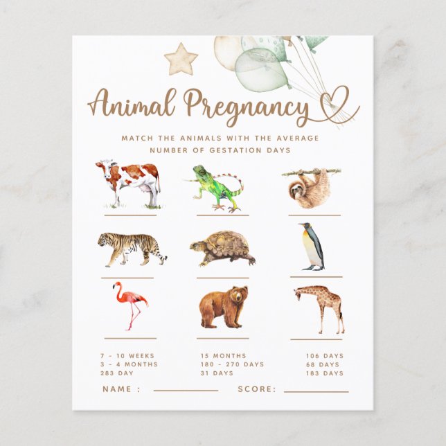 Animal Pregnancy Baby Bear Baby Shower Game (Front)