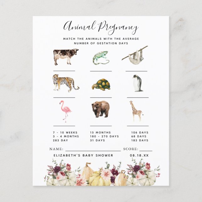 Animal Pregnancy | Baby Shower Game (Front)