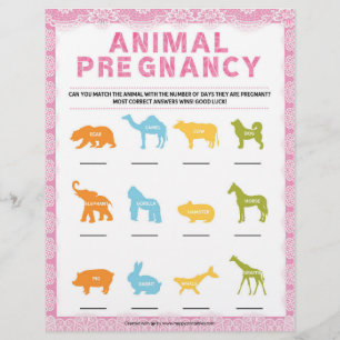 Animal Pregnancy [Luxury Lace [Pink]] Letterhead