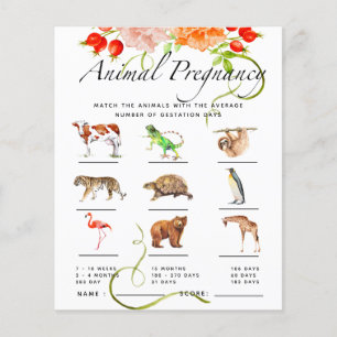 Animal Pregnancy Pumpkin Baby Shower Game