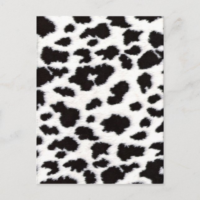 Animal Print 3 Postcard (Front)