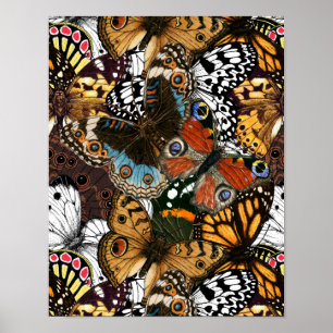 Animal print. Butterfly wings. Poster