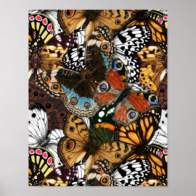 Animal print. Butterfly wings. Poster (Front)