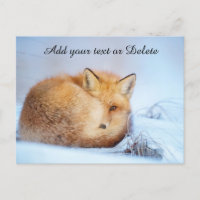 *~* Animal Red Fox Ap18 Wildlife Customize Artsy