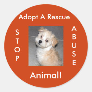 Animal Rescue - Adopt Classic Round Sticker