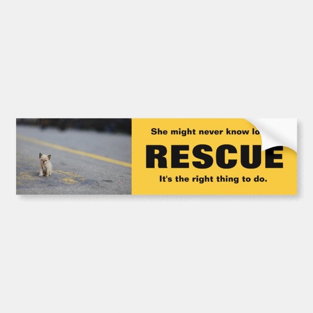 ANIMAL RESCUE BUMPERSTICKER BUMPER STICKER (Front)