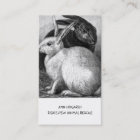 Animal Rescue Or Shelter