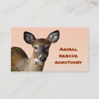 Animal Rescue Sanctuary